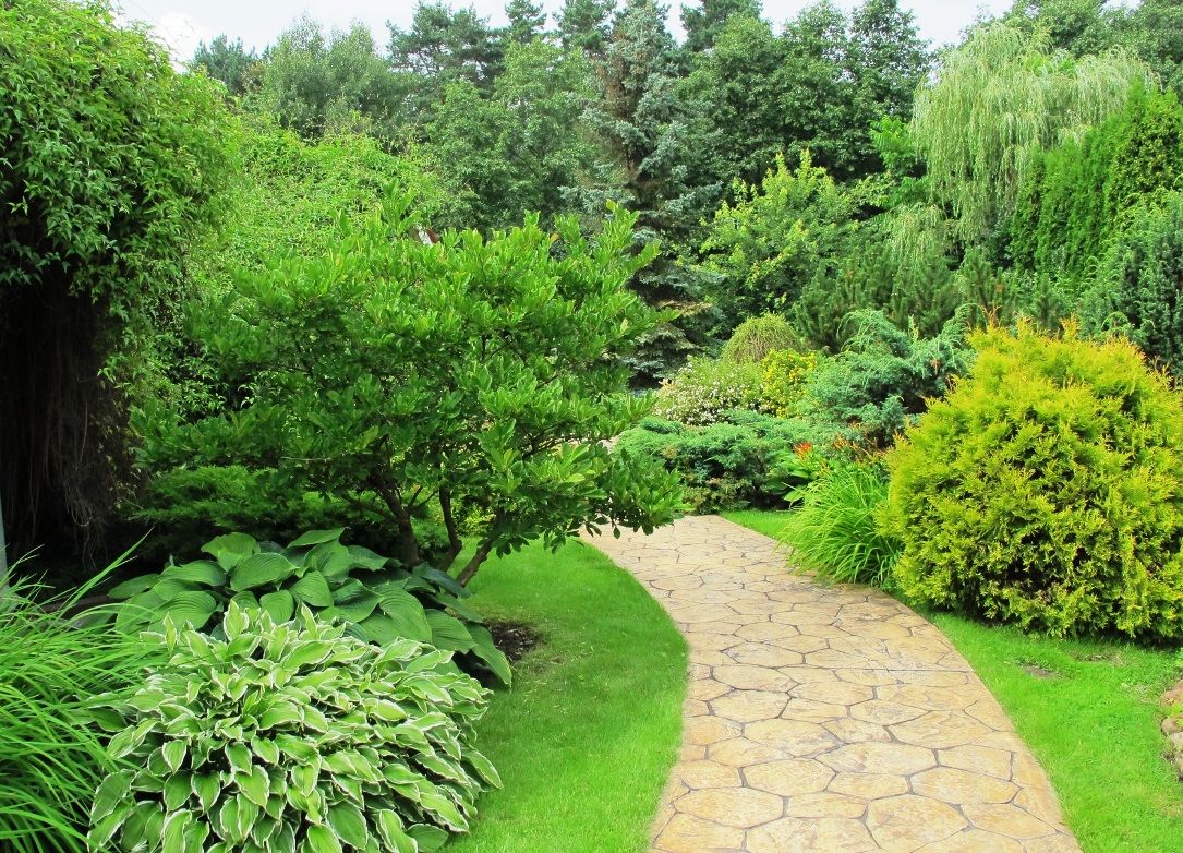 Ливадия на Истре